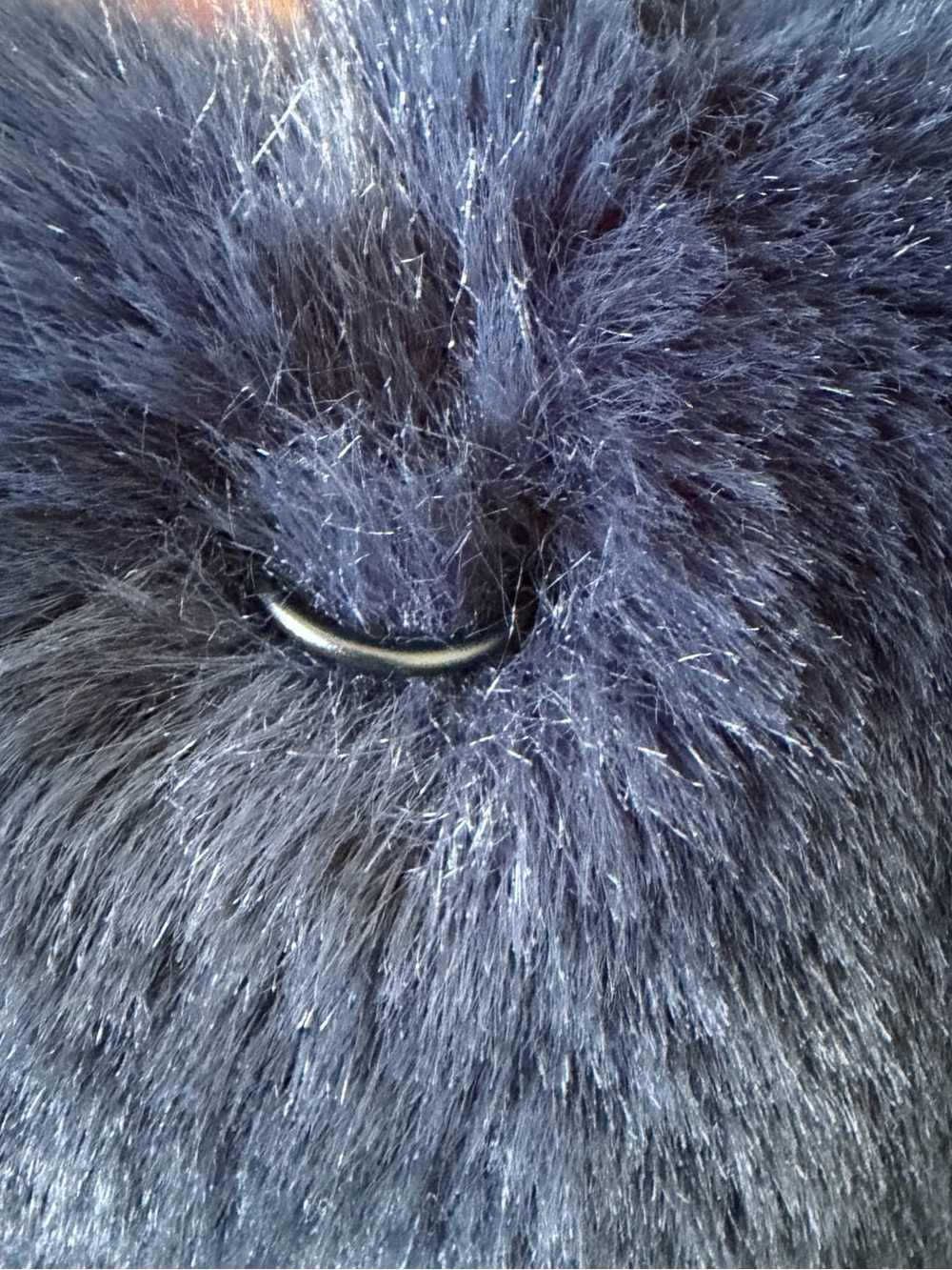 Runway Collection NWT BCBG Faux Fur coat. - Picture 5 of 14